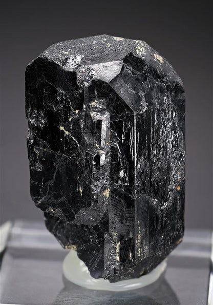 CC19160 specimen image