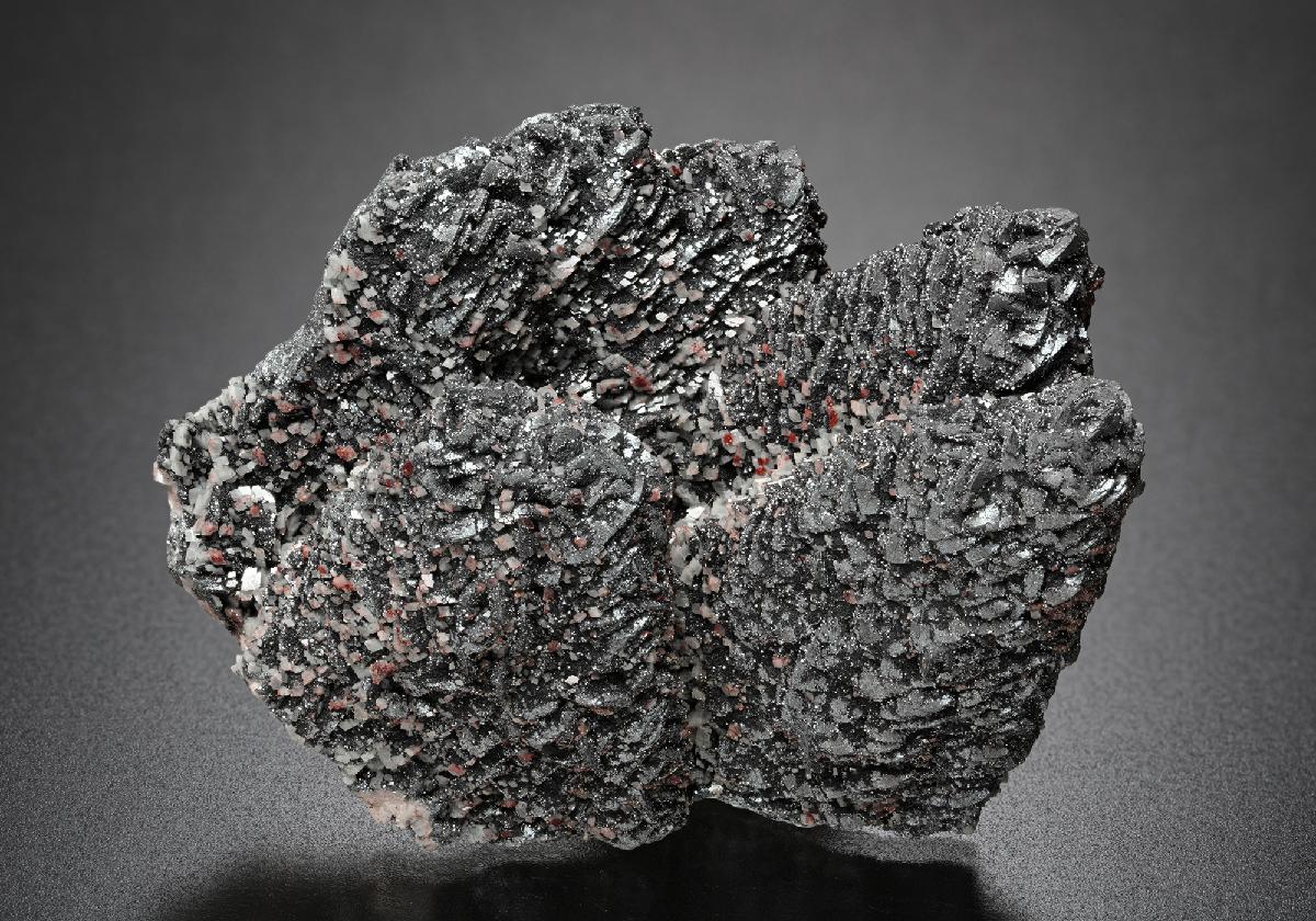 CC19164 specimen image