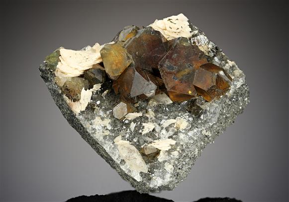 CC19168 specimen image