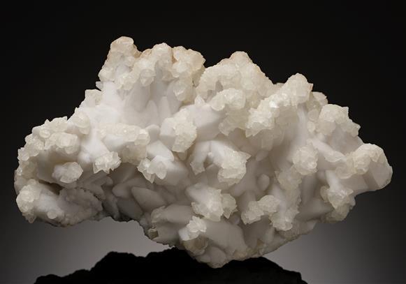 CC19173 specimen image