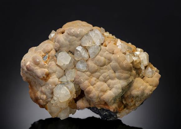 CC19215 specimen image