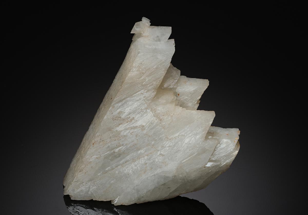 CC19216 specimen image