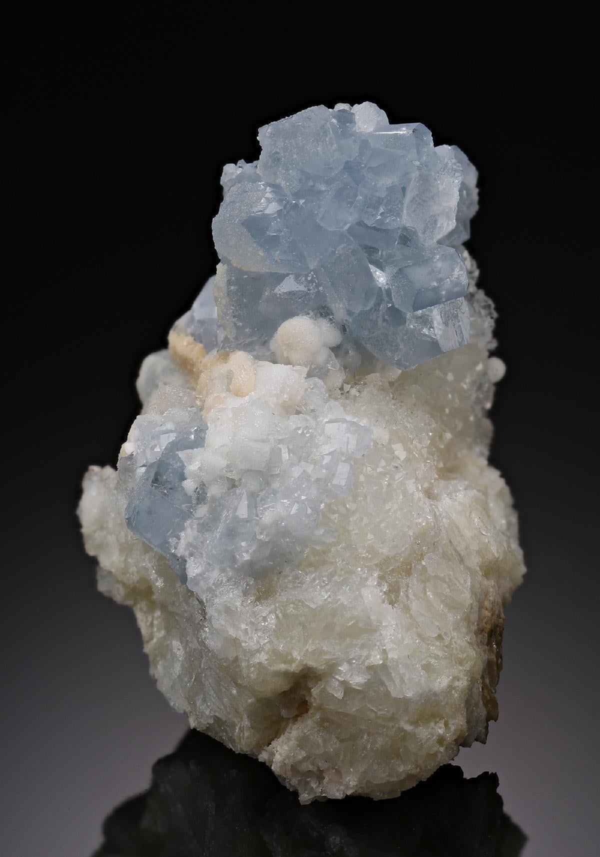 CC19217 specimen image