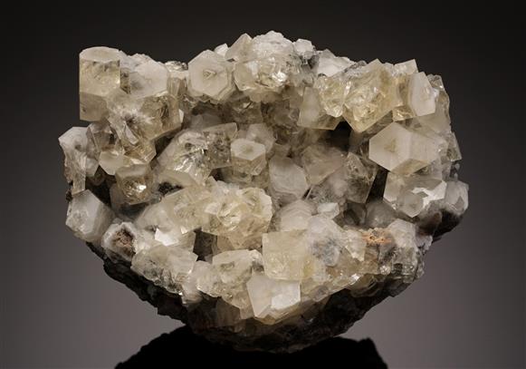 CC19219 specimen image