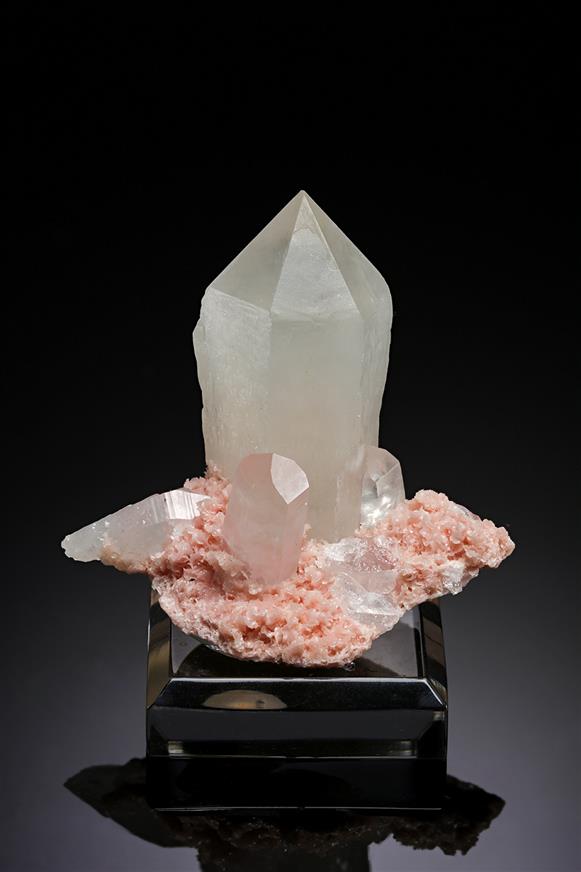 CC19221 specimen image