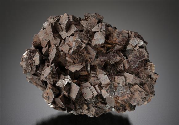 CC19238 specimen image