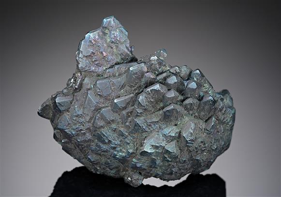 CC19249 specimen image