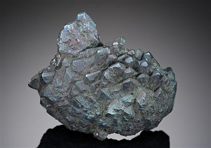 CC19249 specimen image