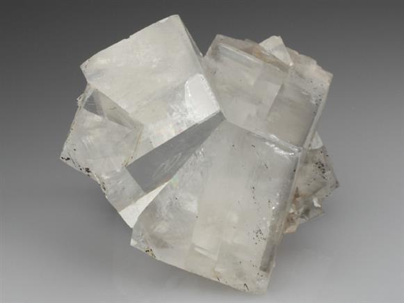 CC1925 specimen image