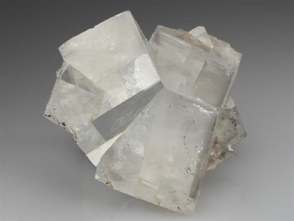 CC1925 specimen image