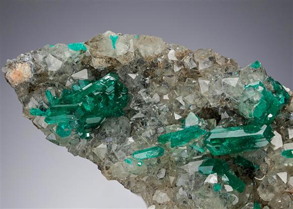 CC19265 specimen image