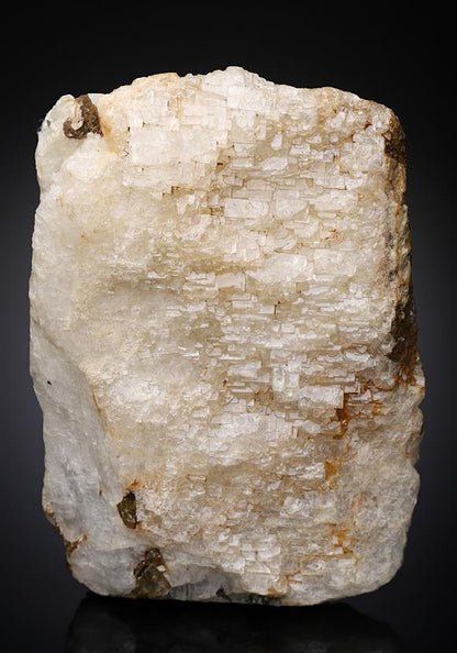 CC19273 specimen image