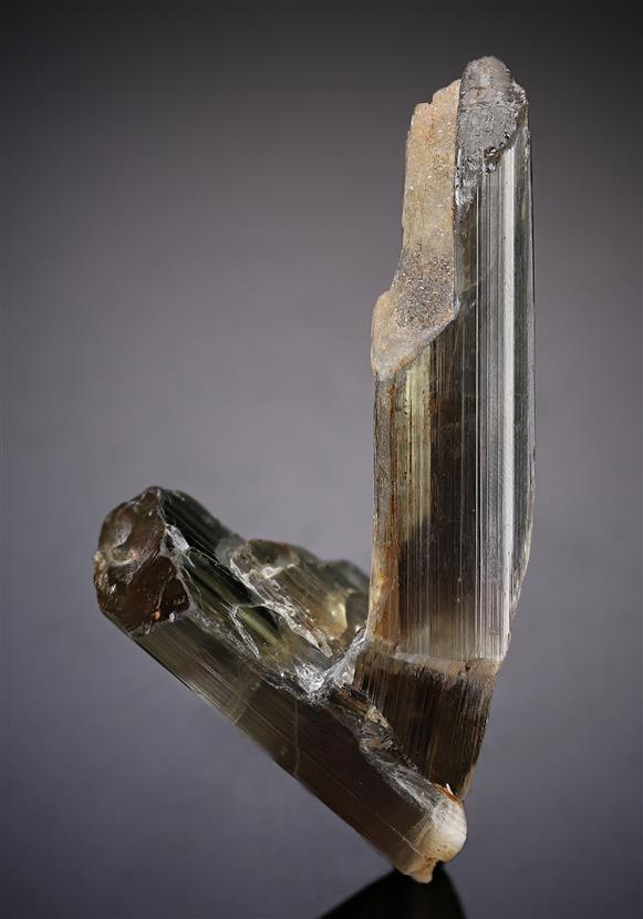 CC19276 specimen image