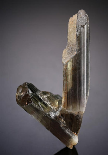 CC19276 specimen image