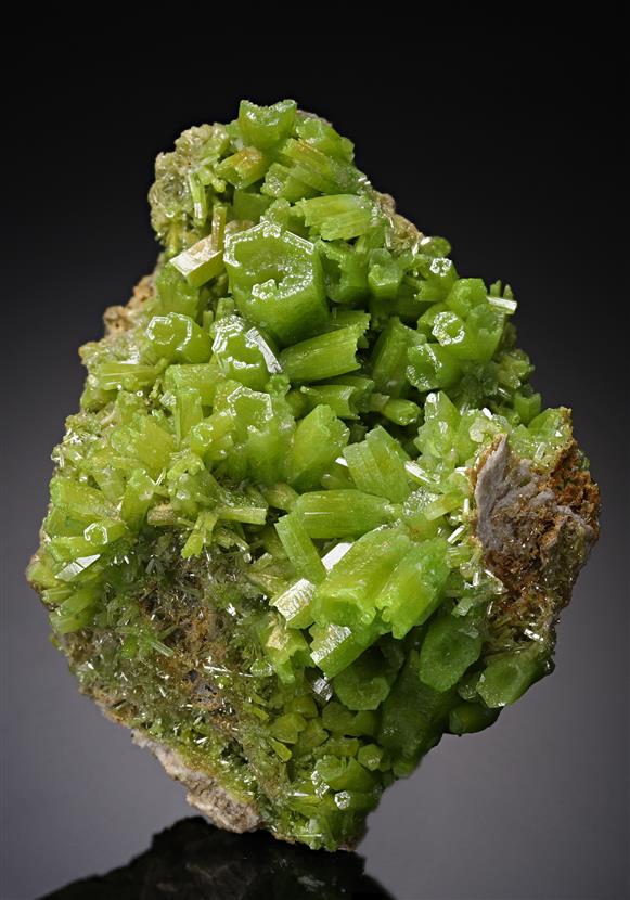 CC19283 specimen image