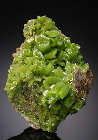 CC19283 specimen image