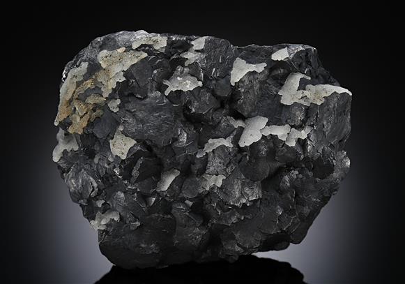 CC19303 specimen image