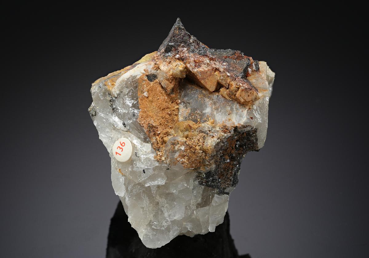 CC19307 specimen image