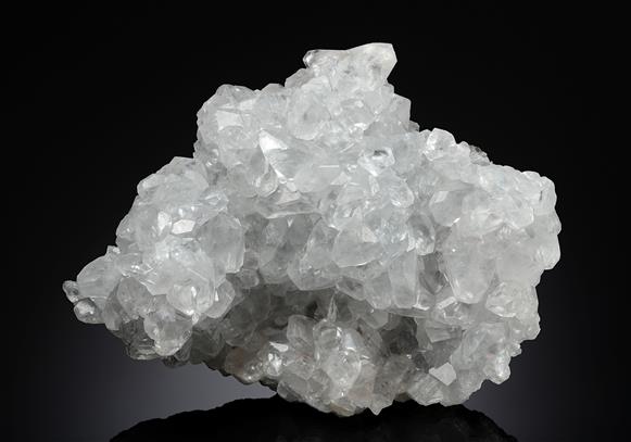 CC19317 specimen image