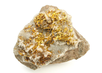 CC19345 specimen image