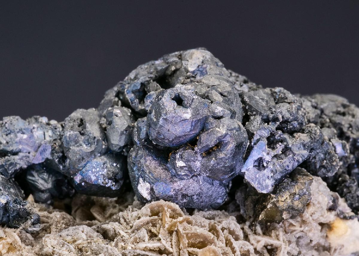 CC19348 specimen image