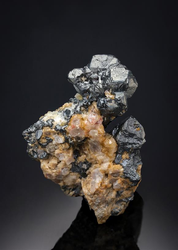 CC19349 specimen image