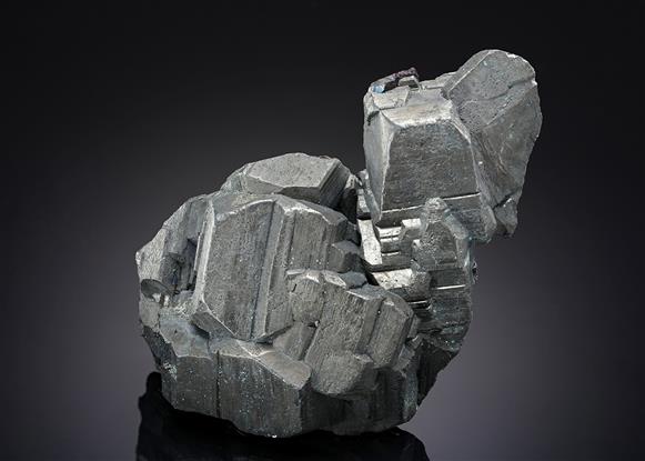 CC19356 specimen image