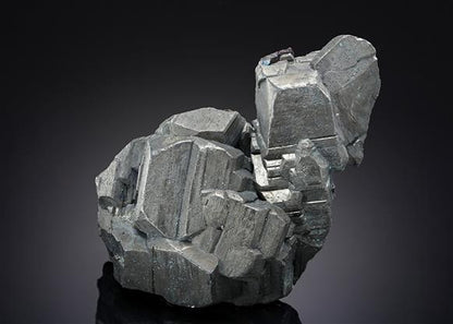CC19356 specimen image