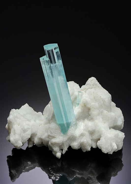 CC19363 specimen image