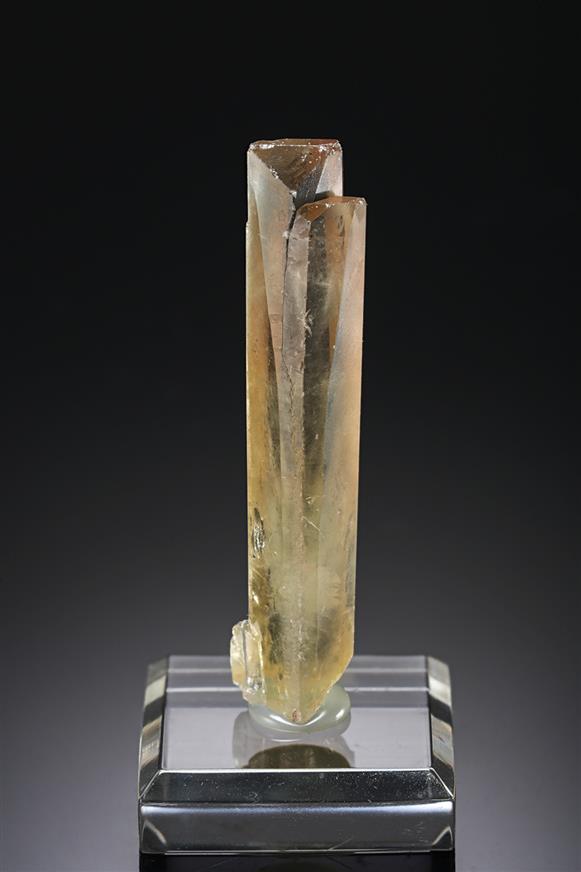 CC19374 specimen image