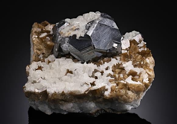 CC19377 specimen image