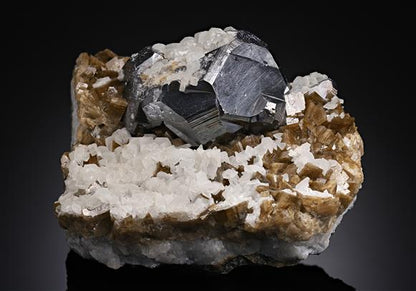 CC19377 specimen image