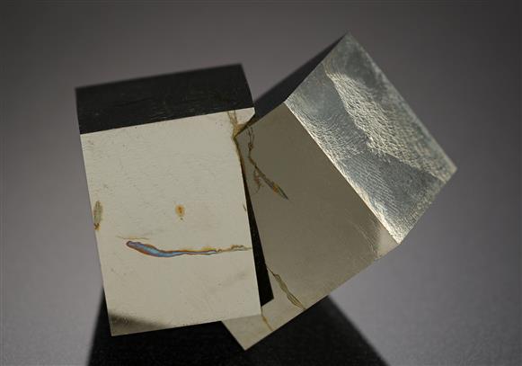 CC19378 specimen image