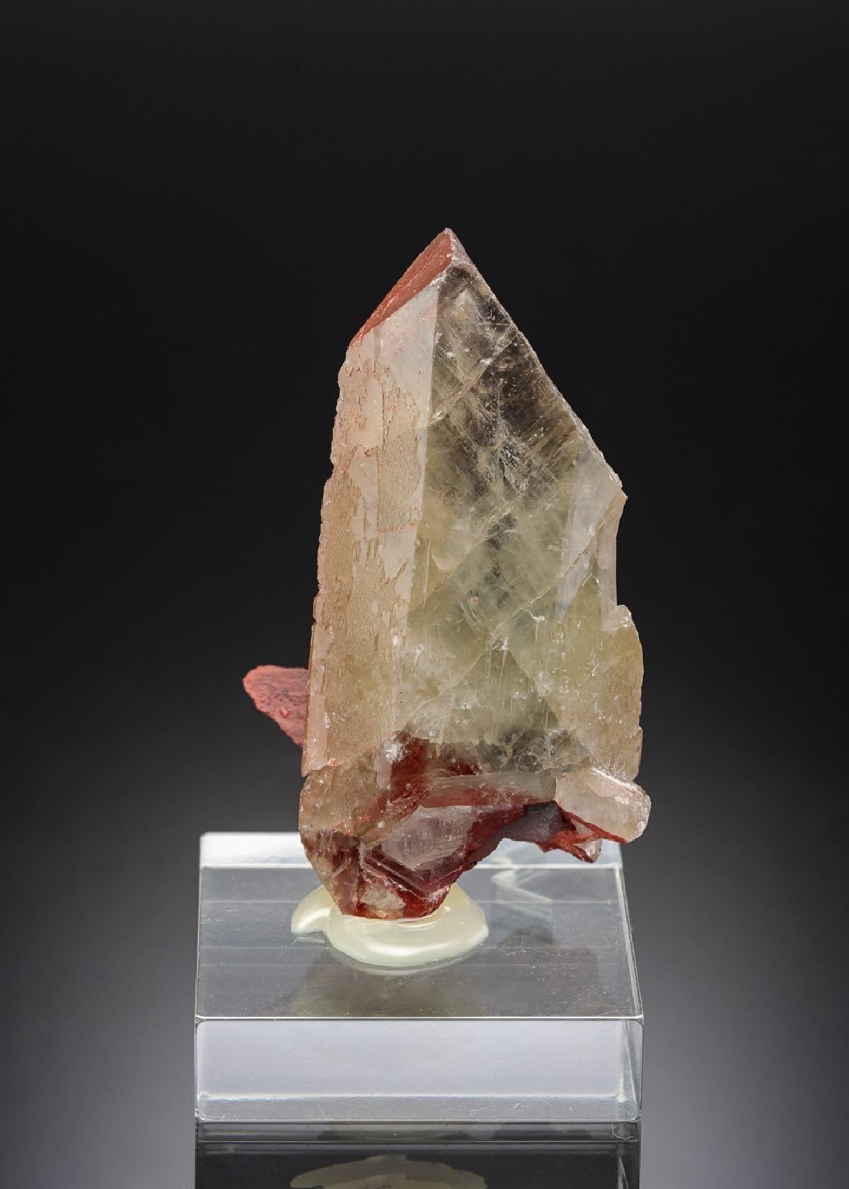 CC19384 specimen image