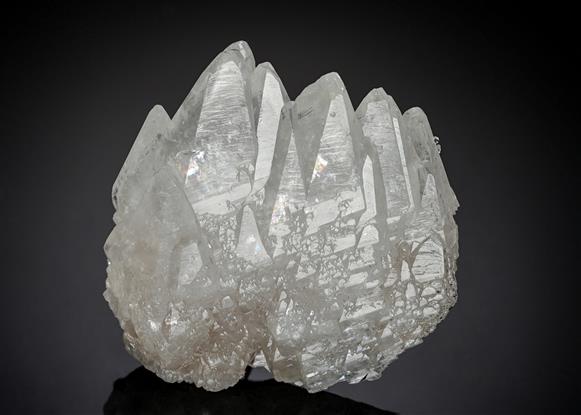 CC19403 specimen image