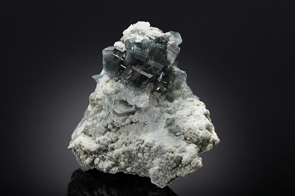CC19417 specimen image