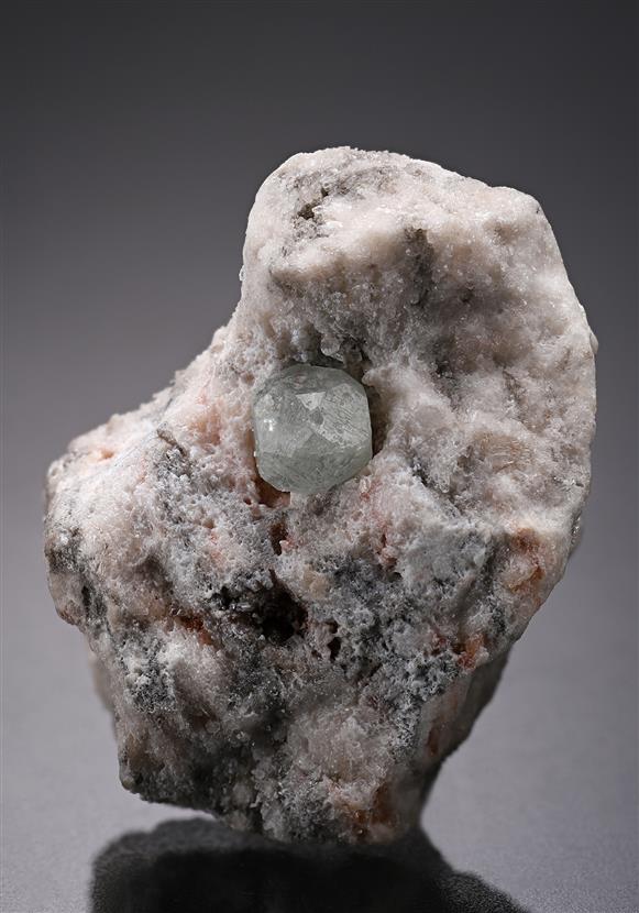 CC19428 specimen image