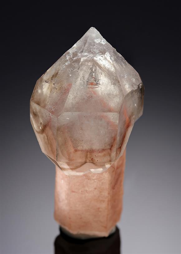 CC19430 specimen image