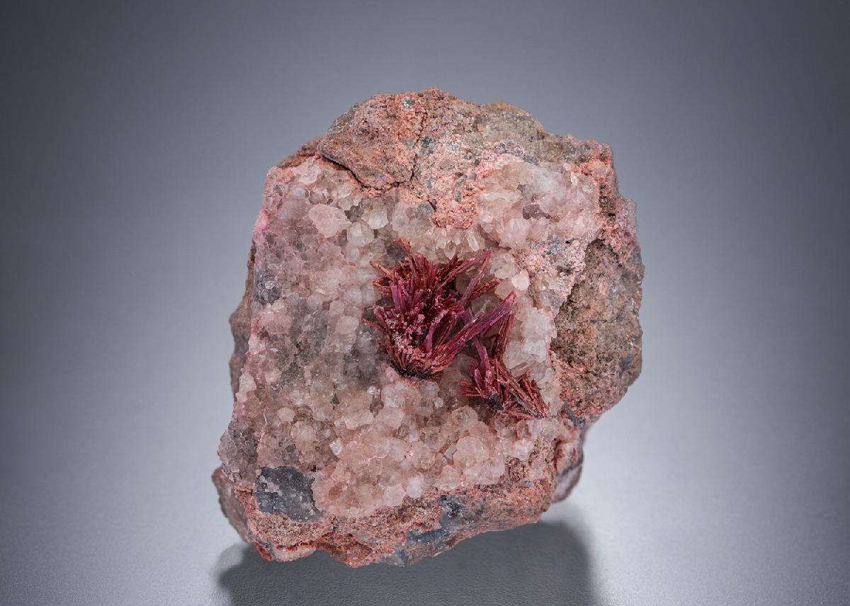CC19438 specimen image