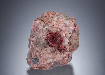 CC19438 specimen image