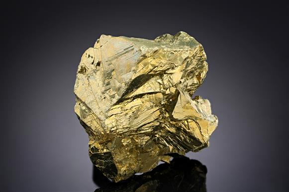 CC19454 specimen image