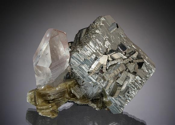 CC19472 specimen image