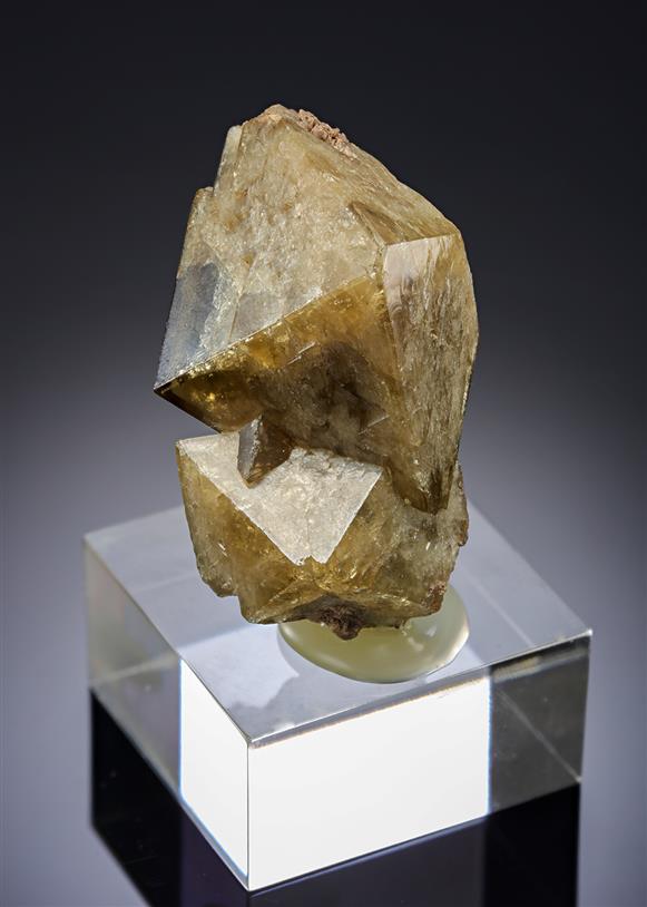 CC19474 specimen image
