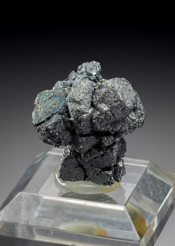 CC19477 specimen image