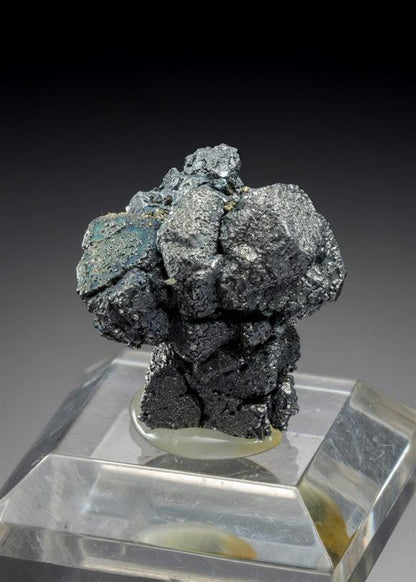 CC19477 specimen image