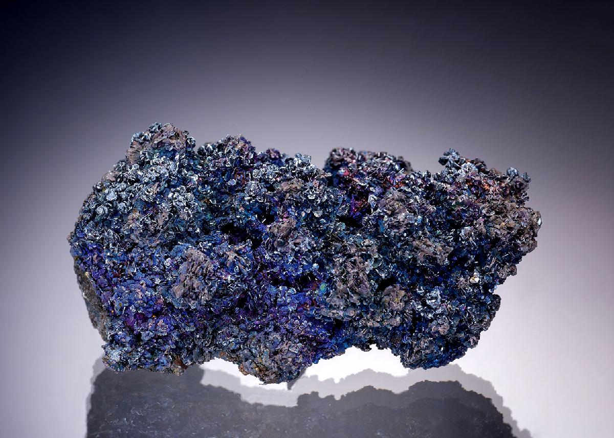 CC19488 specimen image