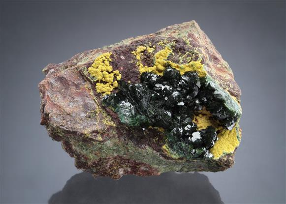 CC19489 specimen image