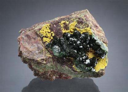 CC19489 specimen image