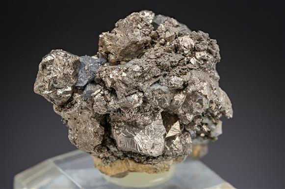 CC19492 specimen image
