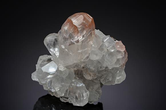 CC19514 specimen image